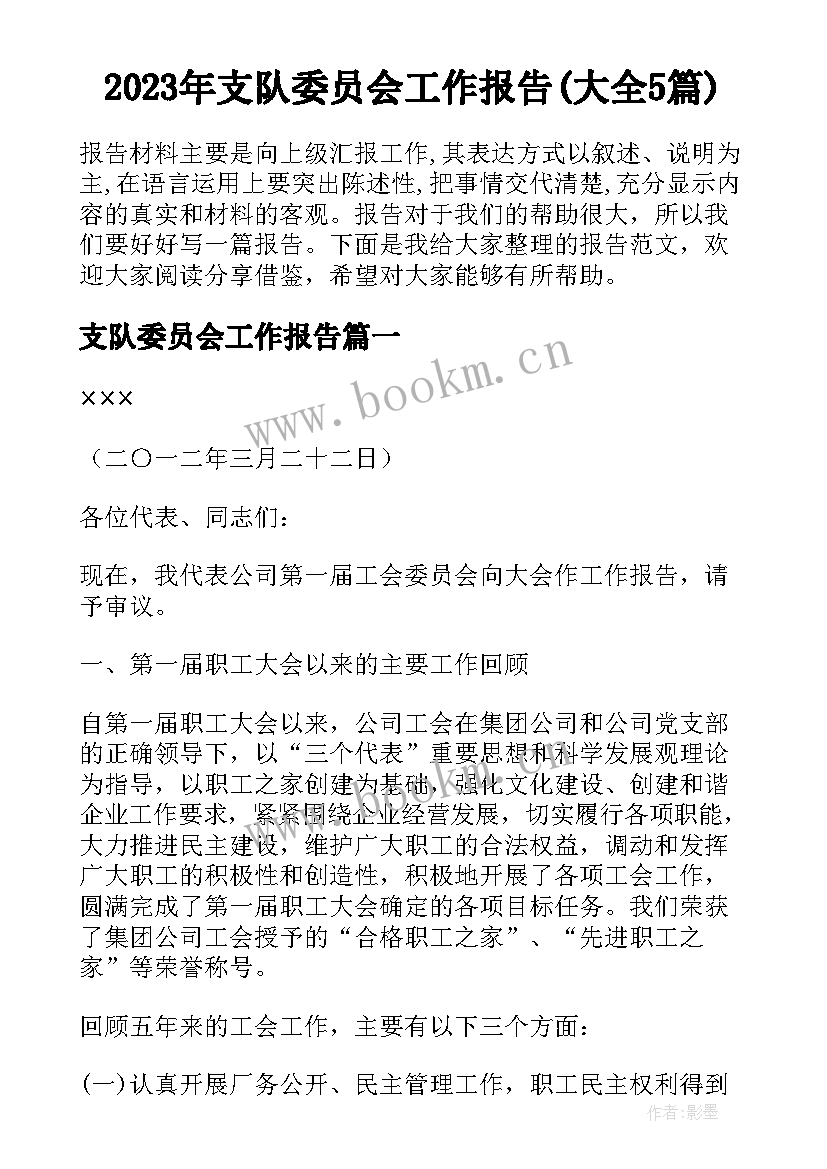 2023年支队委员会工作报告(大全5篇)