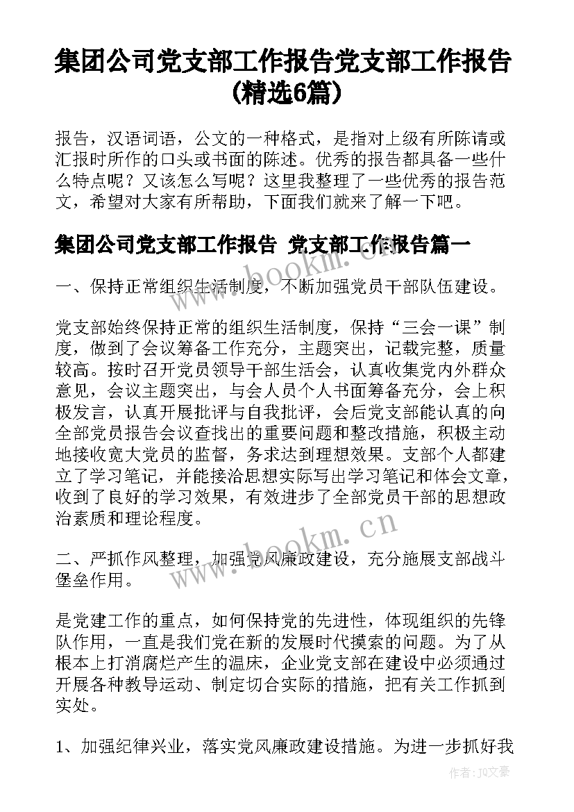 集团公司党支部工作报告 党支部工作报告(精选6篇)