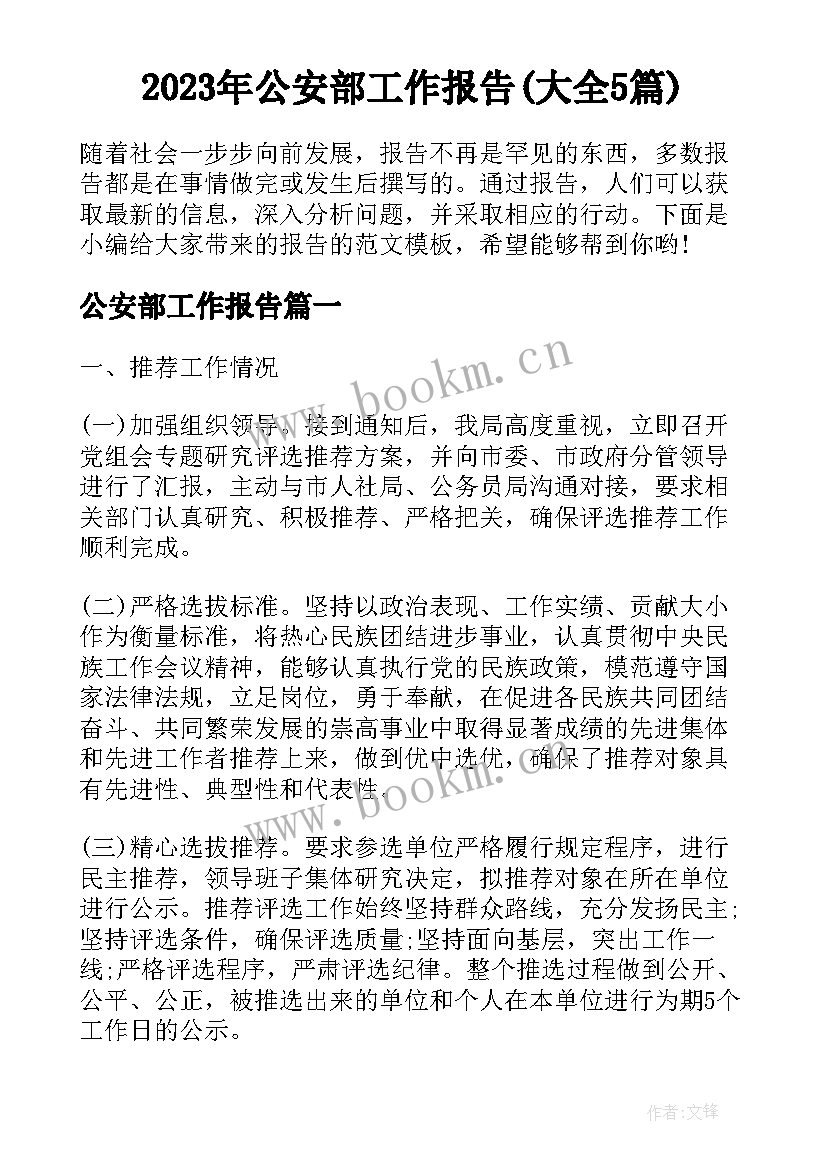 2023年公安部工作报告(大全5篇)