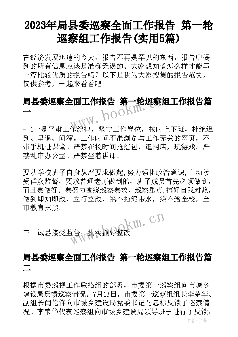 2023年局县委巡察全面工作报告 第一轮巡察组工作报告(实用5篇)