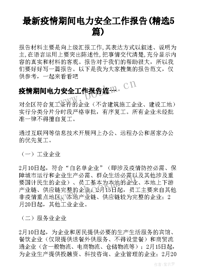 最新疫情期间电力安全工作报告(精选5篇)