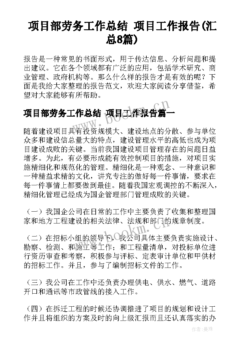 项目部劳务工作总结 项目工作报告(汇总8篇)