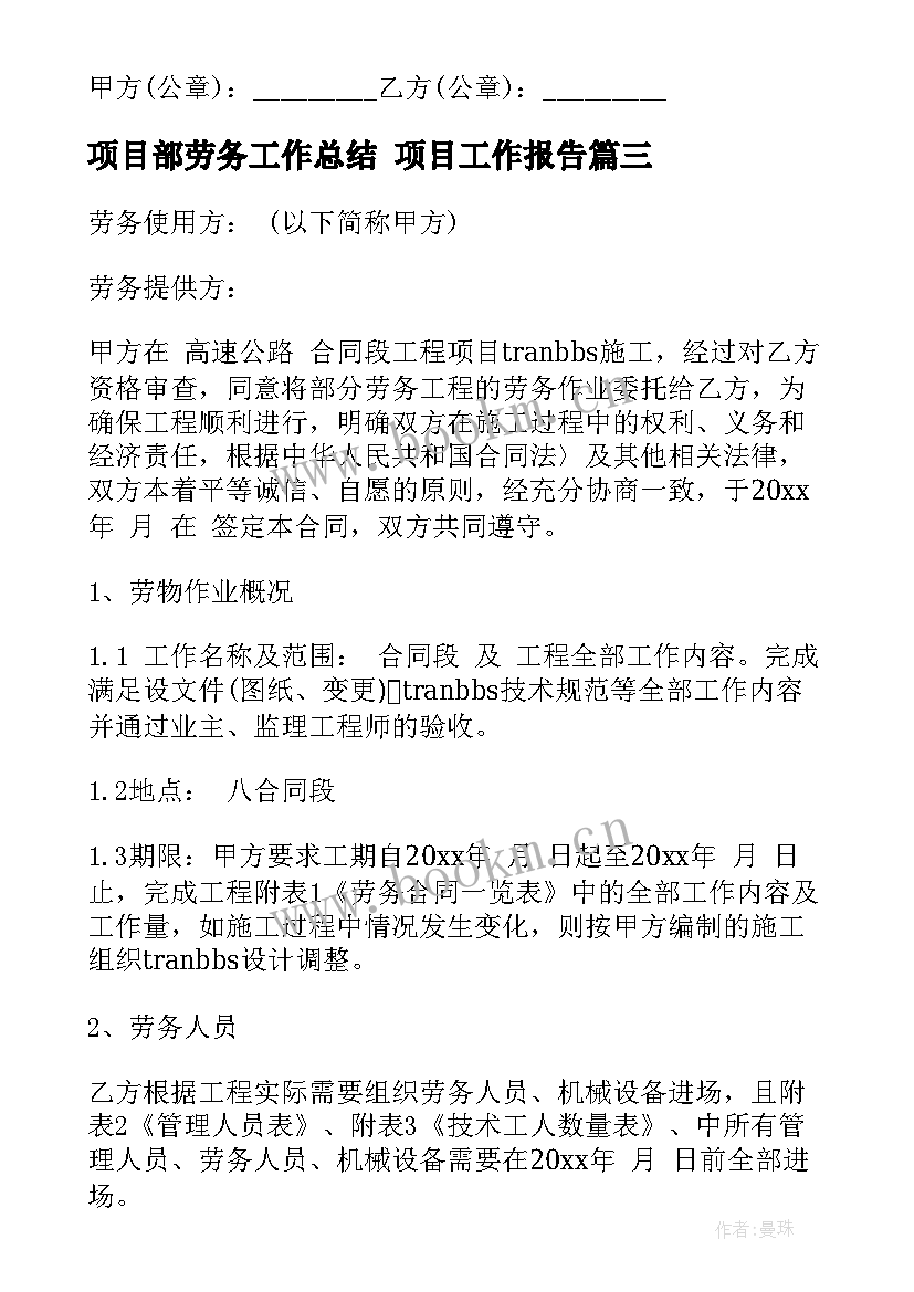 项目部劳务工作总结 项目工作报告(汇总8篇)