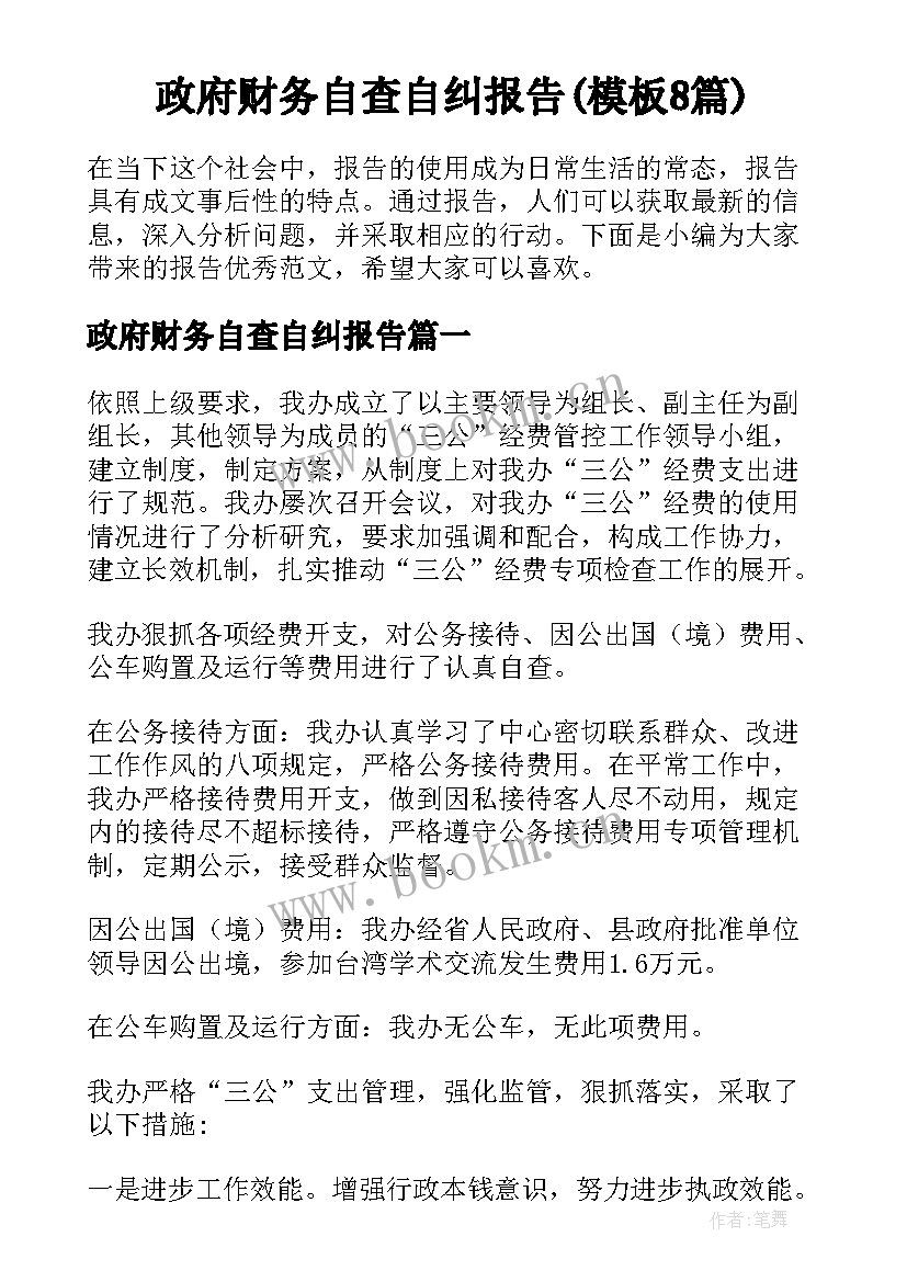 政府财务自查自纠报告(模板8篇)