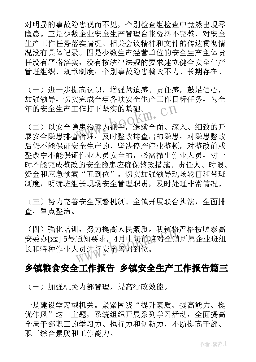 2023年乡镇粮食安全工作报告 乡镇安全生产工作报告(模板5篇)