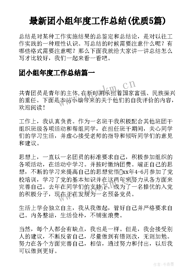 最新团小组年度工作总结(优质5篇)