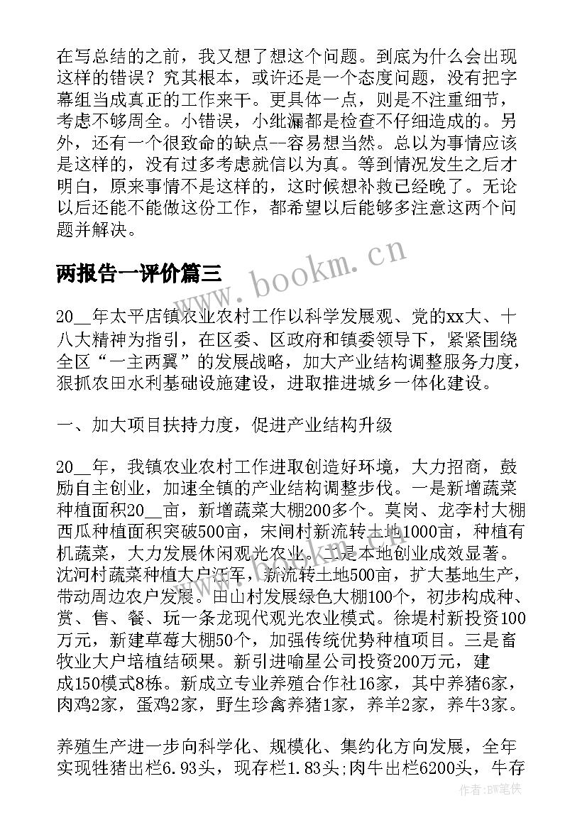 最新两报告一评价(通用7篇)