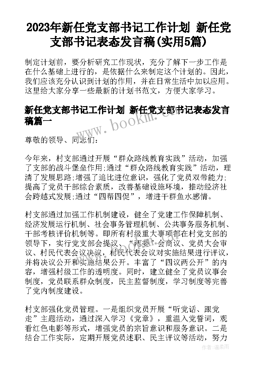 2023年新任党支部书记工作计划 新任党支部书记表态发言稿(实用5篇)