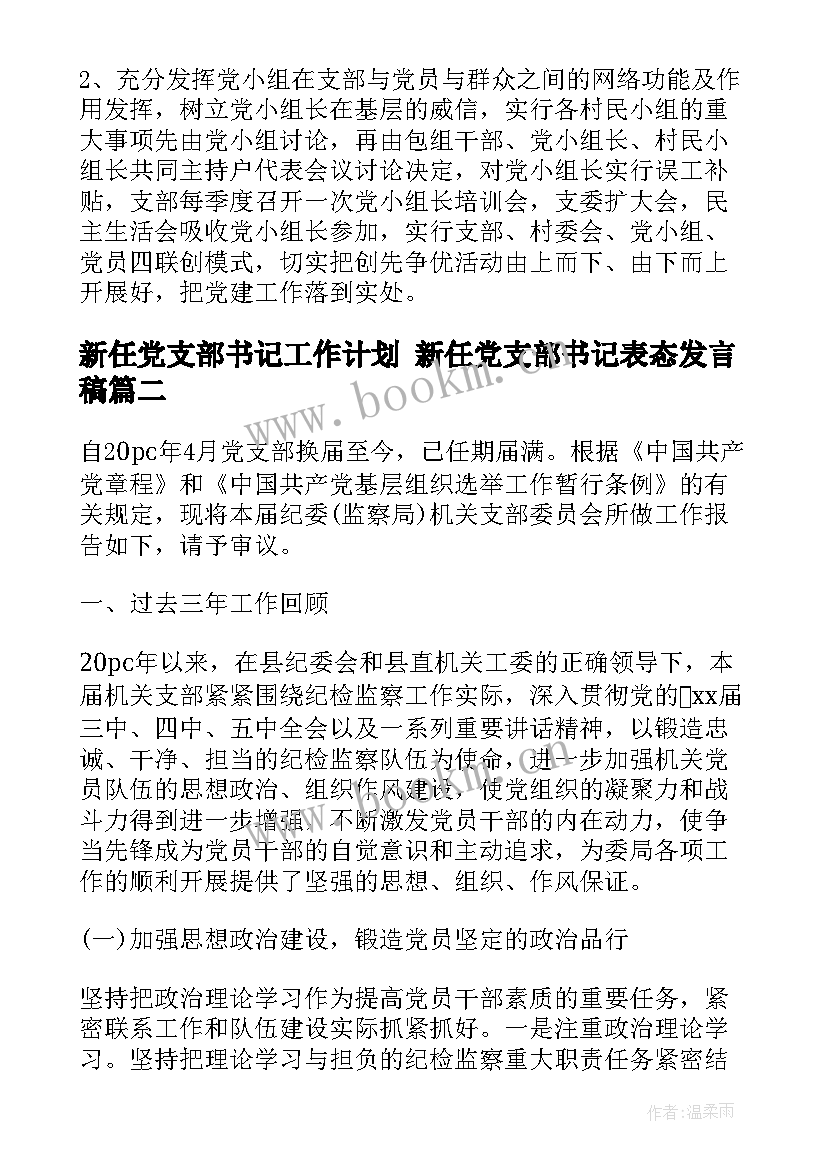 2023年新任党支部书记工作计划 新任党支部书记表态发言稿(实用5篇)