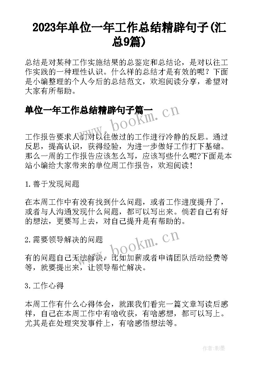 2023年单位一年工作总结精辟句子(汇总9篇)