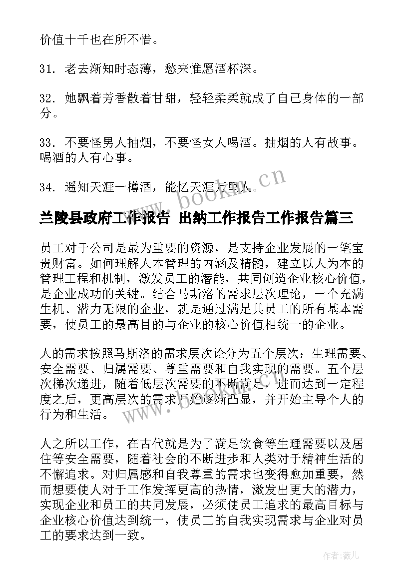 兰陵县政府工作报告 出纳工作报告工作报告(精选8篇)