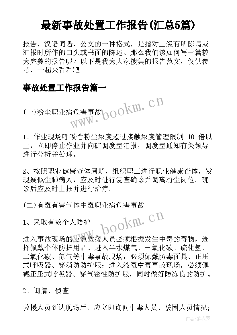 最新事故处置工作报告(汇总5篇)