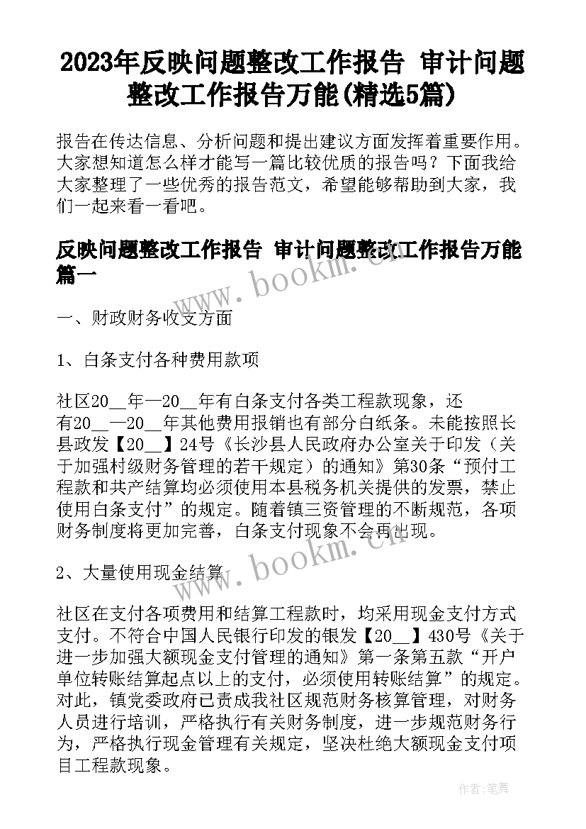 2023年反映问题整改工作报告 审计问题整改工作报告万能(精选5篇)