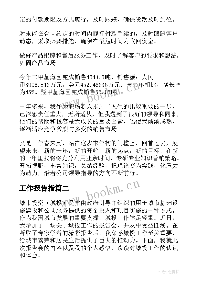 最新工作报告指(实用10篇)