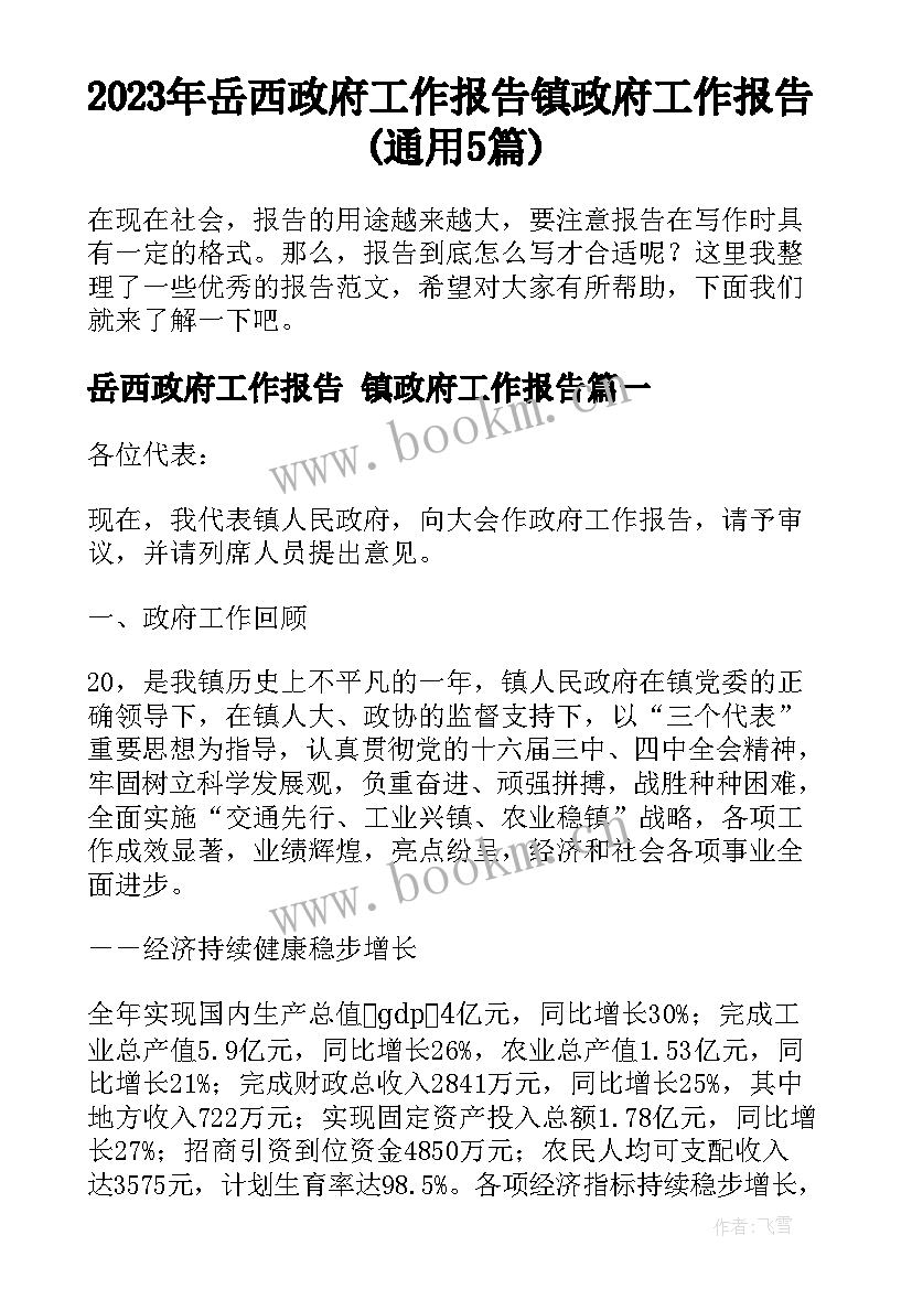 2023年岳西政府工作报告 镇政府工作报告(通用5篇)
