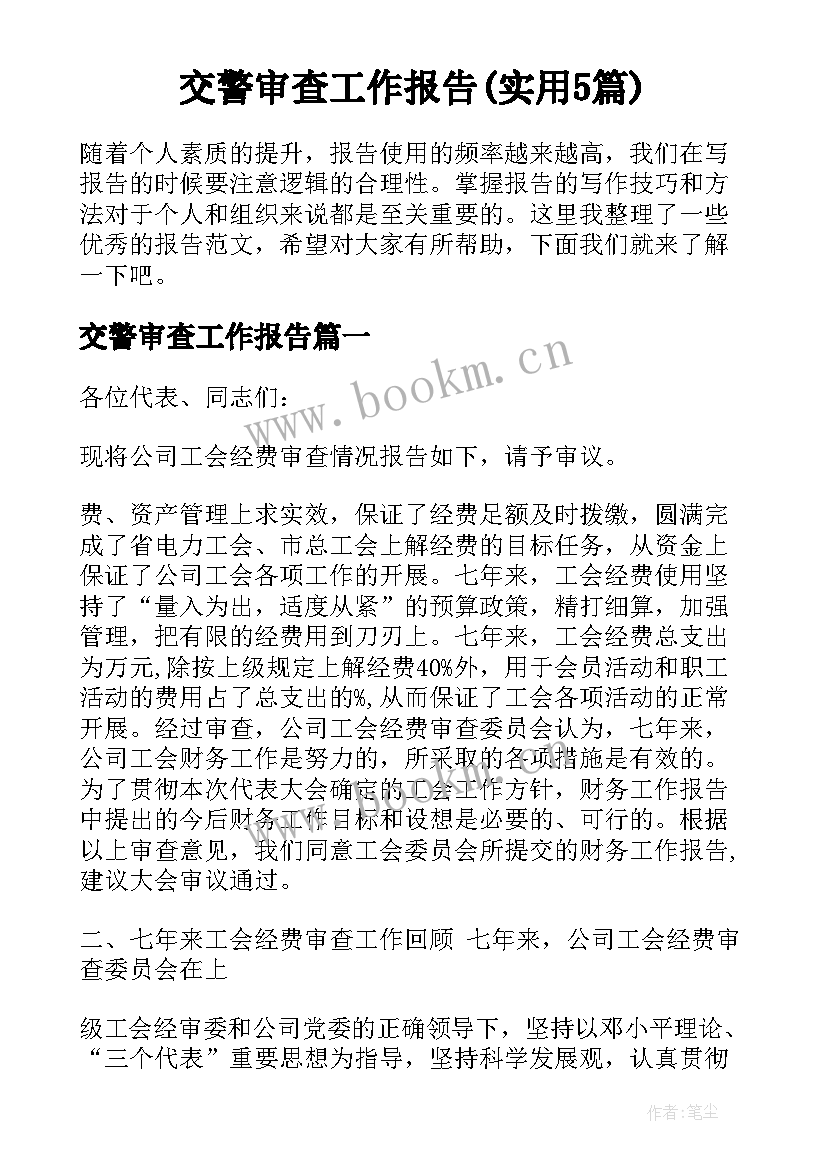 交警审查工作报告(实用5篇)