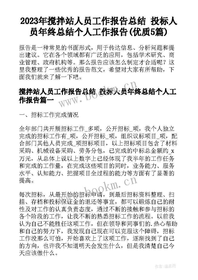 2023年搅拌站人员工作报告总结 投标人员年终总结个人工作报告(优质5篇)