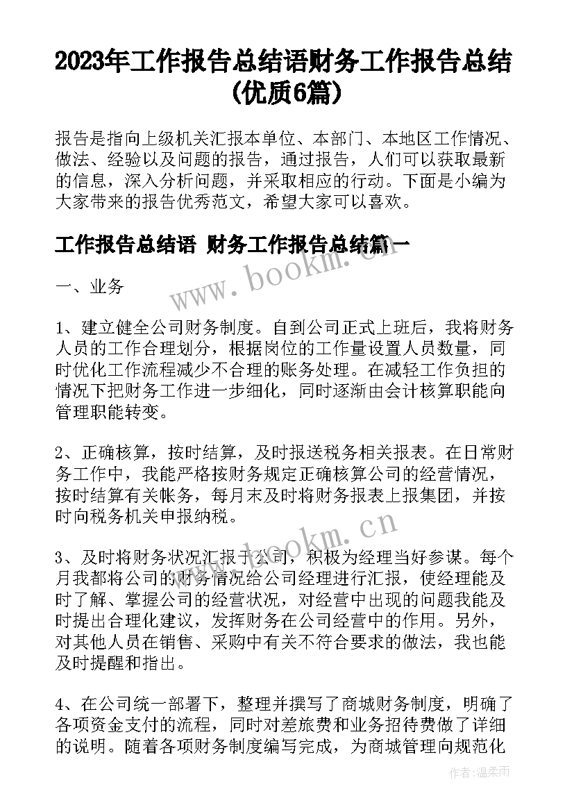 2023年工作报告总结语 财务工作报告总结(优质6篇)