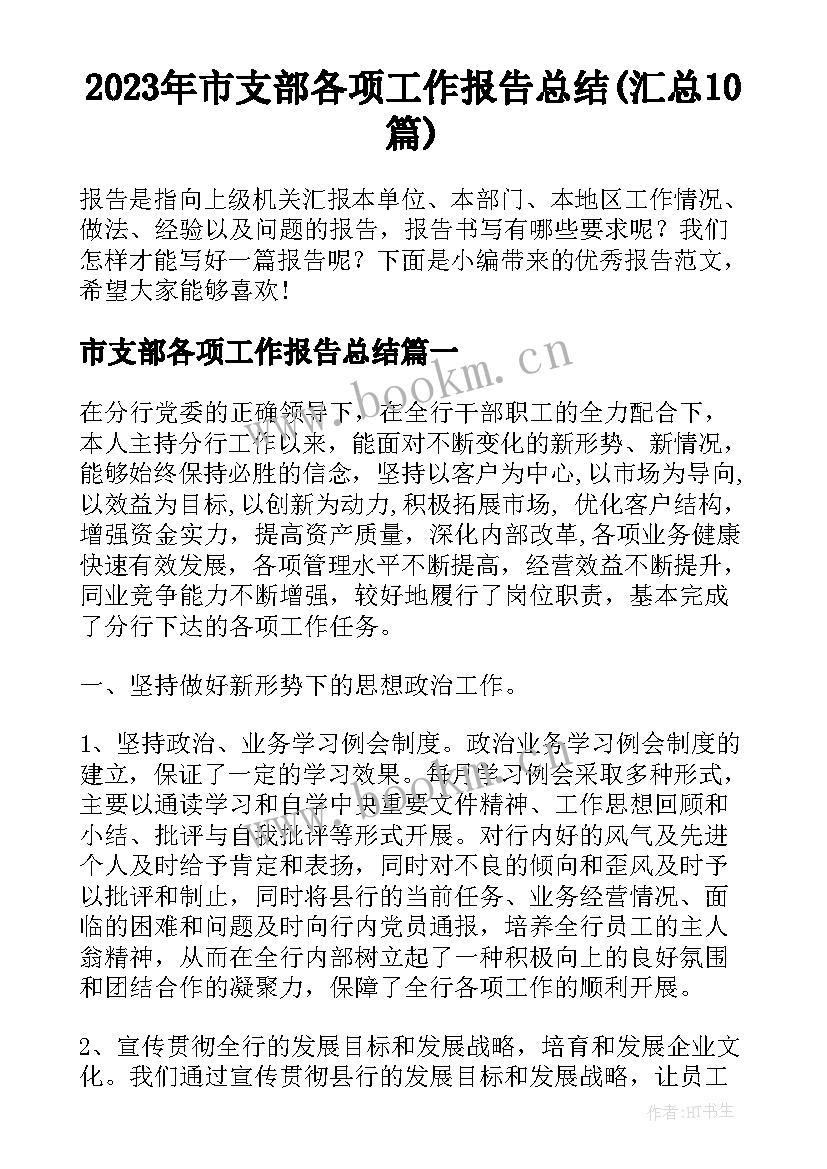 2023年市支部各项工作报告总结(汇总10篇)