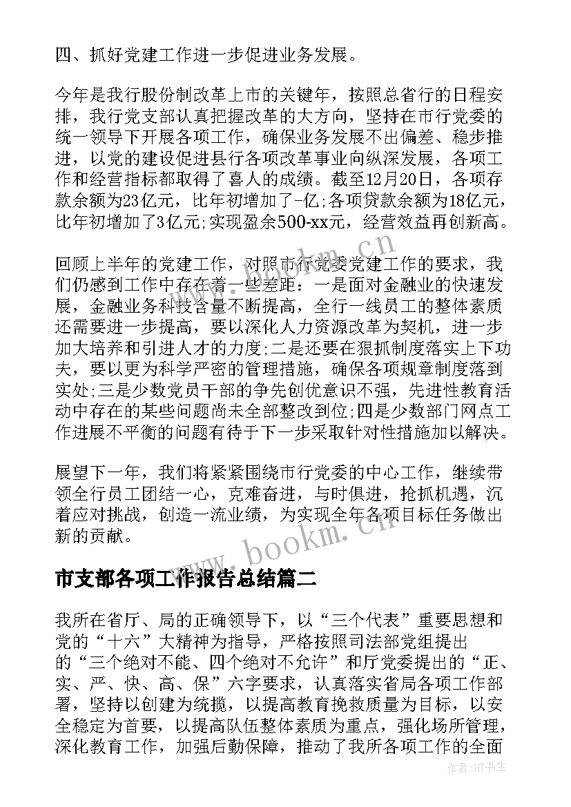 2023年市支部各项工作报告总结(汇总10篇)