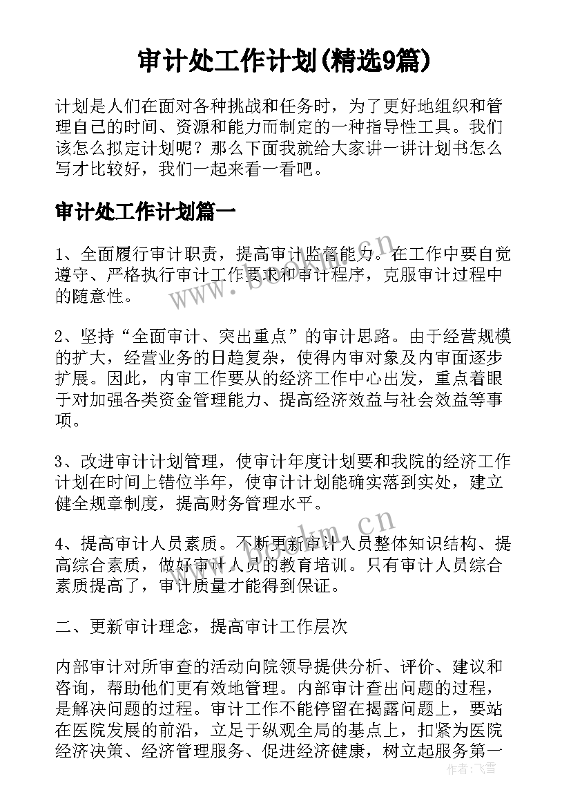 审计处工作计划(精选9篇)