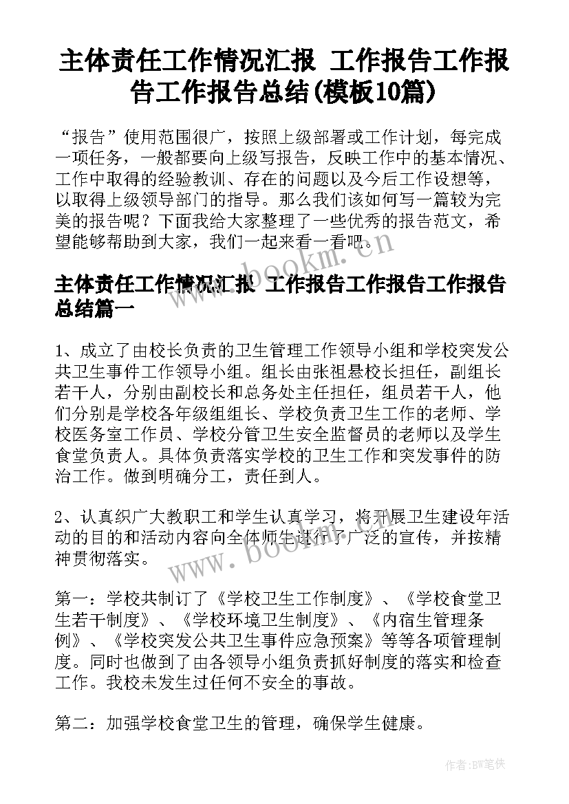 主体责任工作情况汇报 工作报告工作报告工作报告总结(模板10篇)