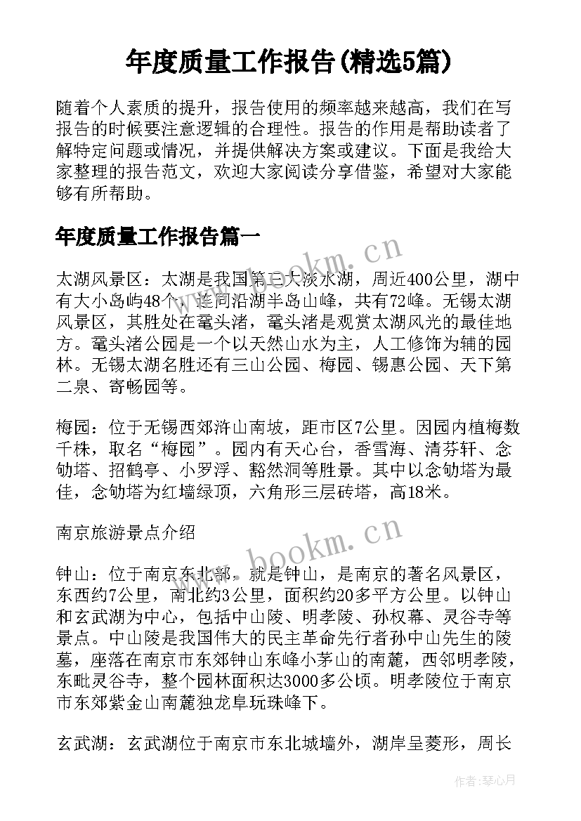 年度质量工作报告(精选5篇)