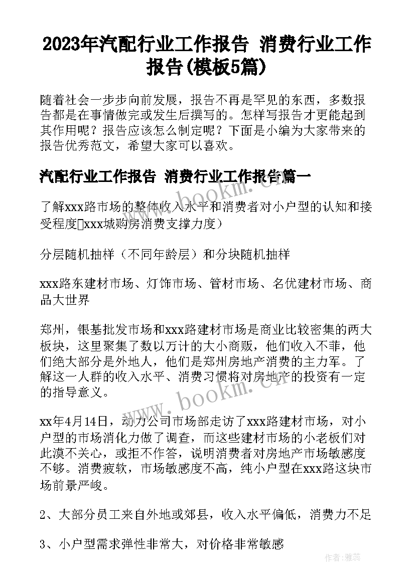 2023年汽配行业工作报告 消费行业工作报告(模板5篇)