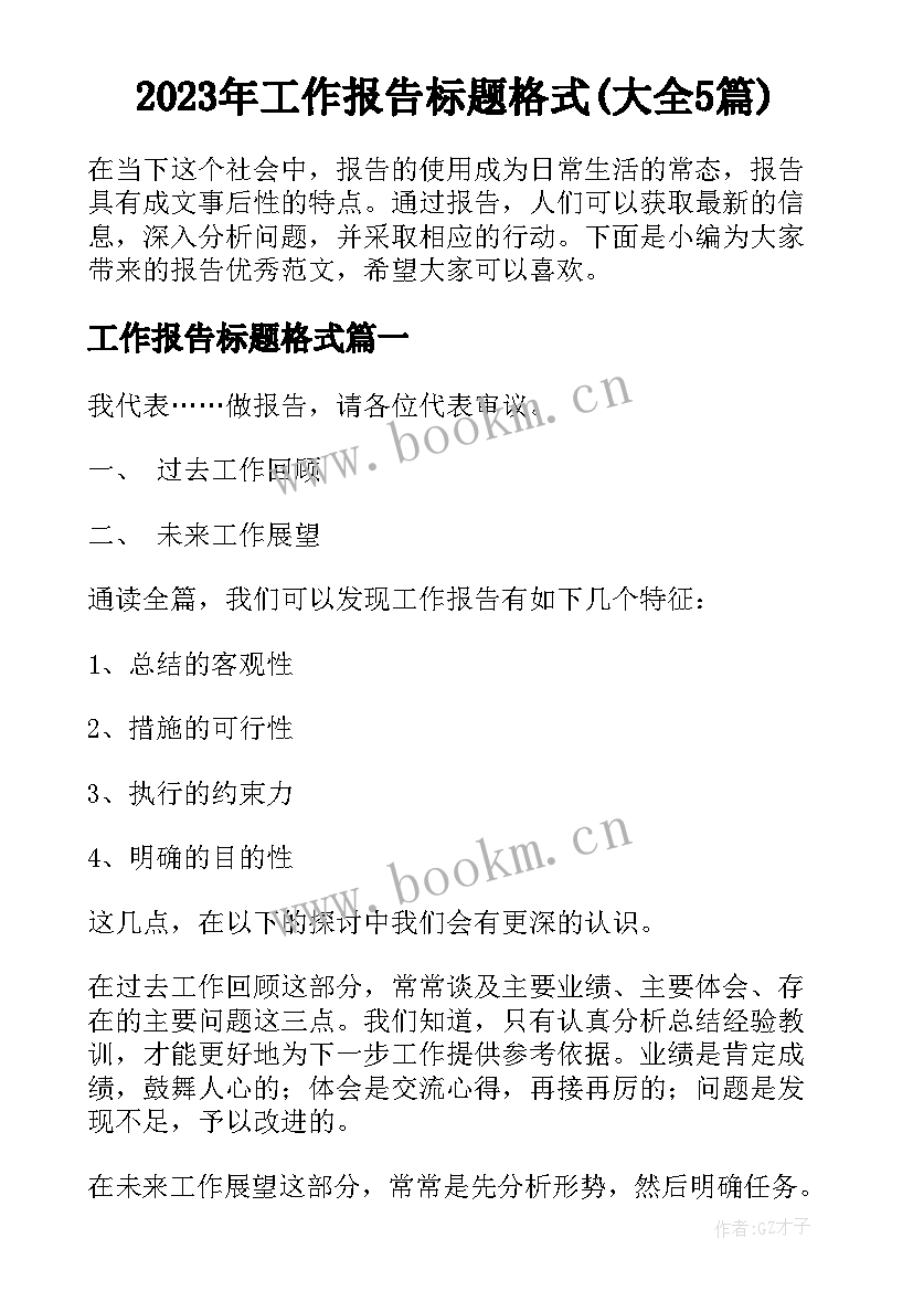 2023年工作报告标题格式(大全5篇)