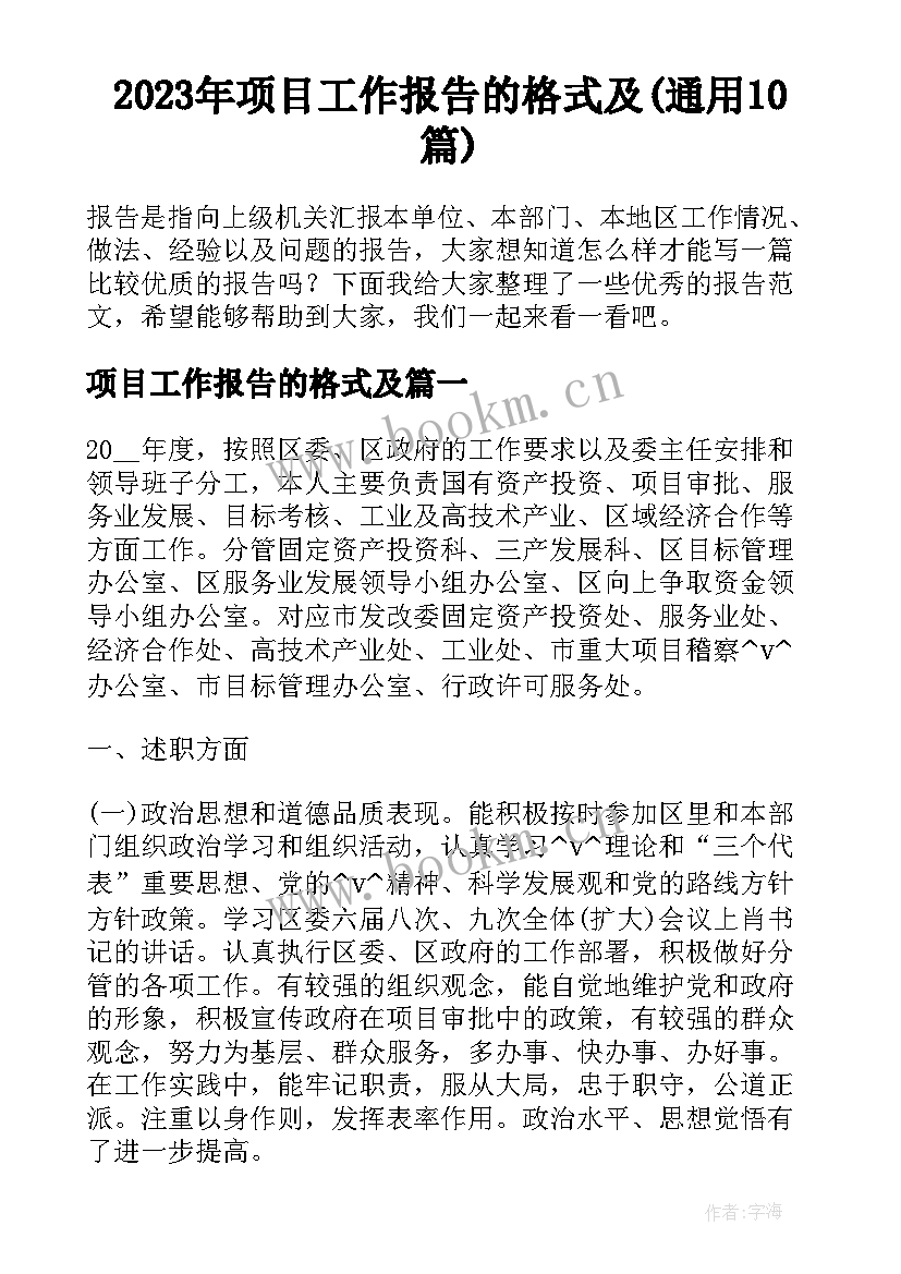 2023年项目工作报告的格式及(通用10篇)