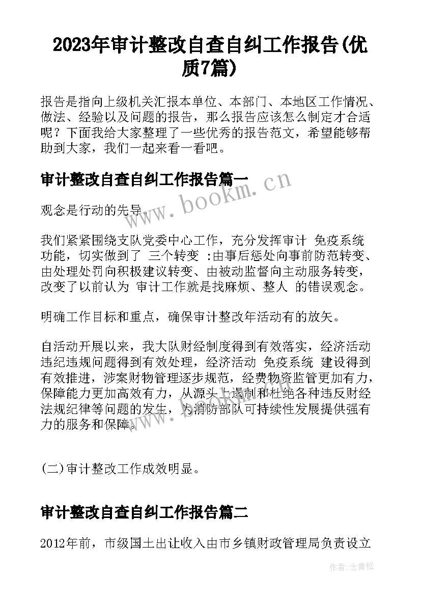 2023年审计整改自查自纠工作报告(优质7篇)