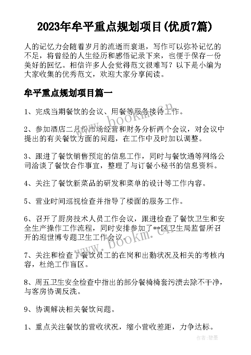 2023年牟平重点规划项目(优质7篇)