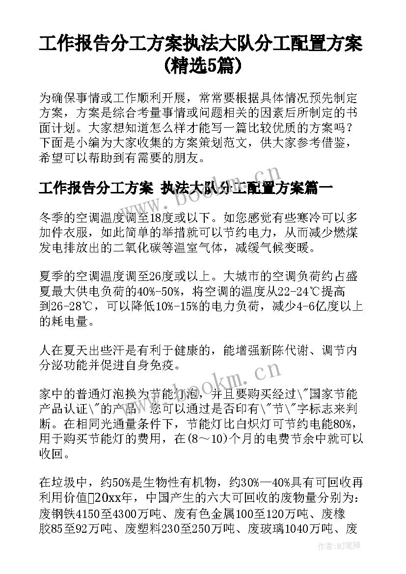 工作报告分工方案 执法大队分工配置方案(精选5篇)