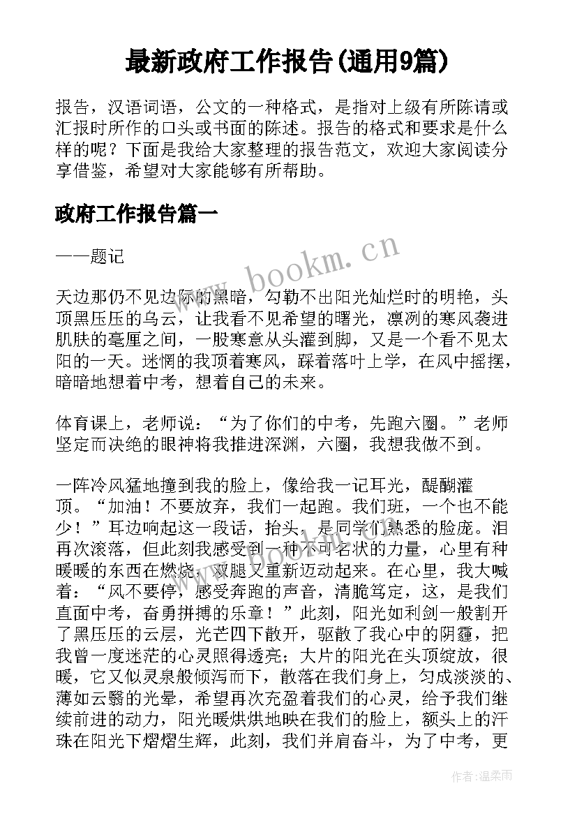 最新政府工作报告(通用9篇)