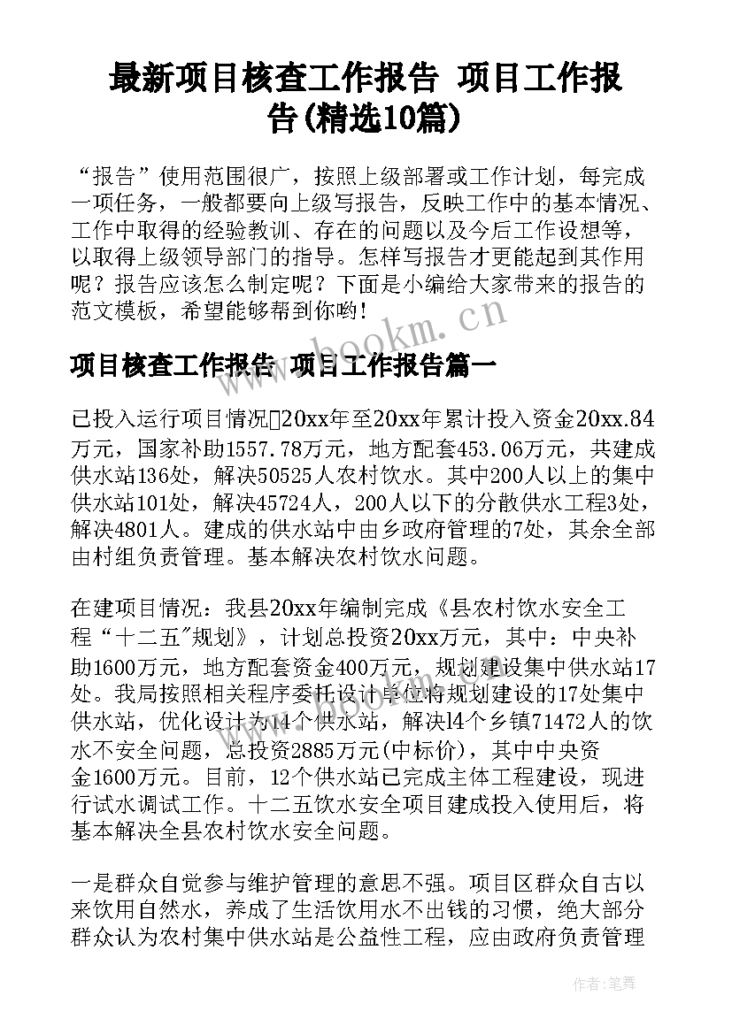 最新项目核查工作报告 项目工作报告(精选10篇)