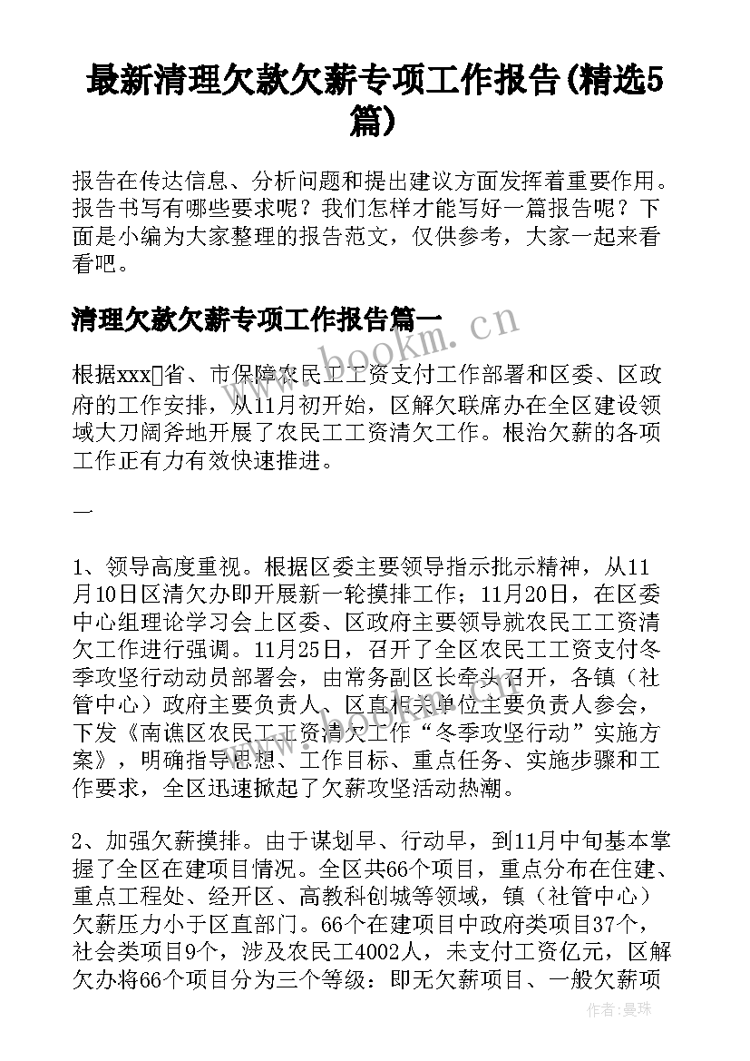 最新清理欠款欠薪专项工作报告(精选5篇)