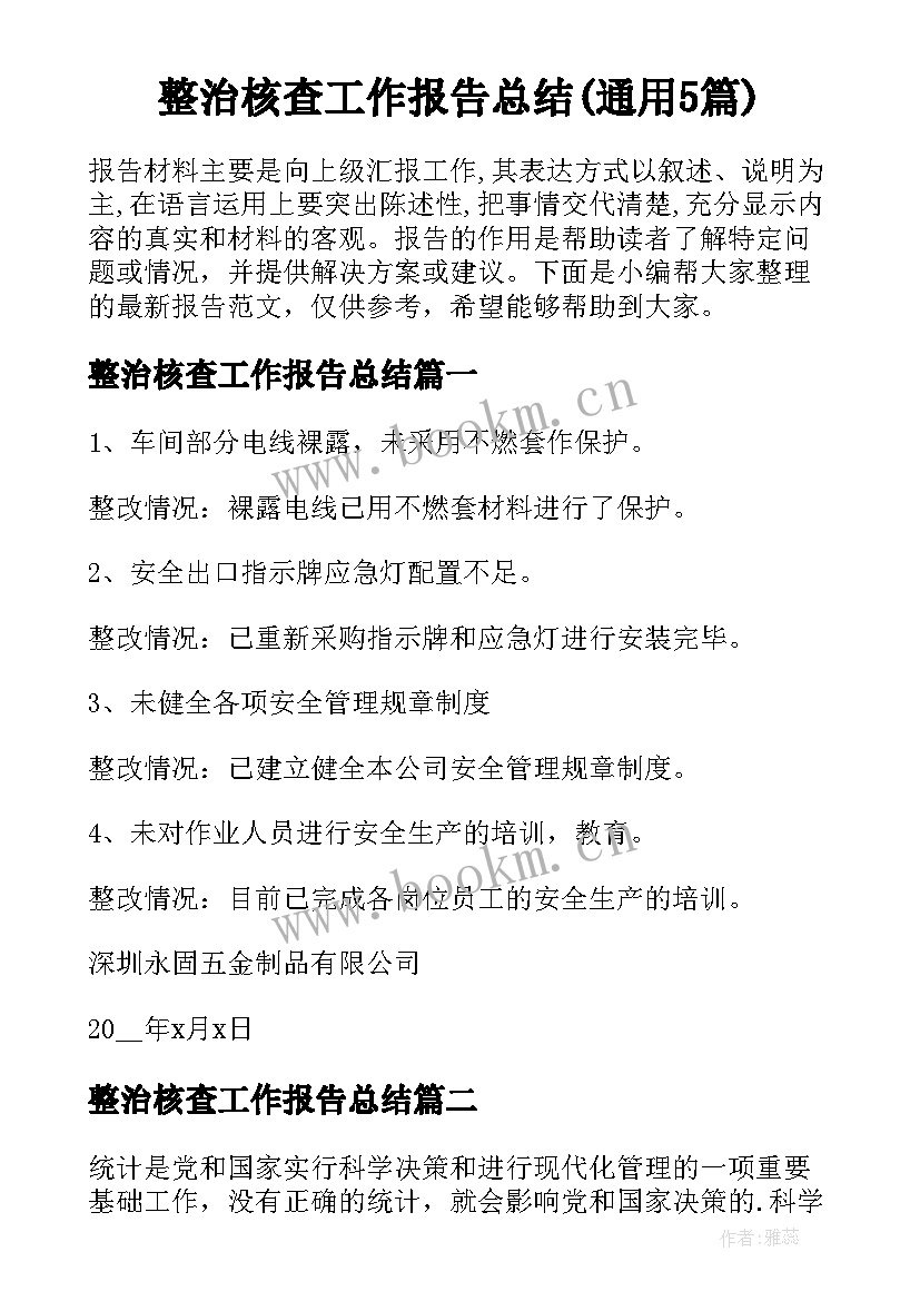 整治核查工作报告总结(通用5篇)