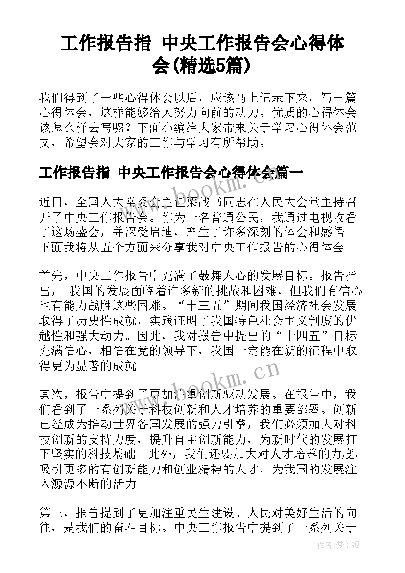 工作报告指 中央工作报告会心得体会(精选5篇)