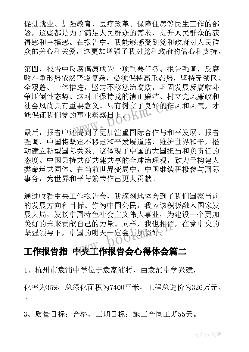 工作报告指 中央工作报告会心得体会(精选5篇)