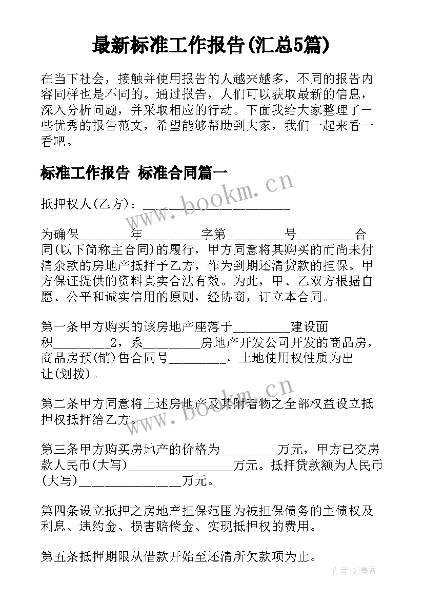 最新标准工作报告(汇总5篇)