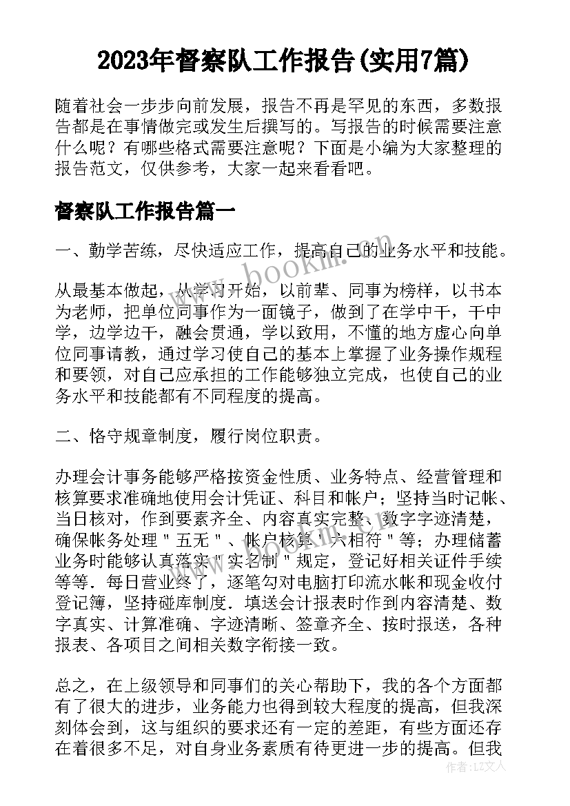 2023年督察队工作报告(实用7篇)