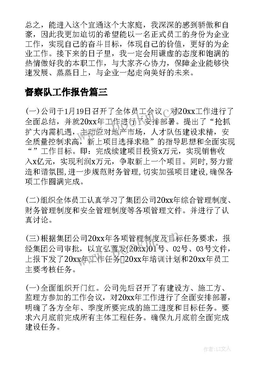 2023年督察队工作报告(实用7篇)