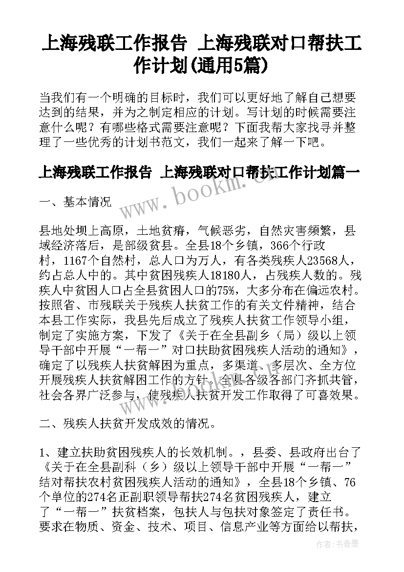 上海残联工作报告 上海残联对口帮扶工作计划(通用5篇)