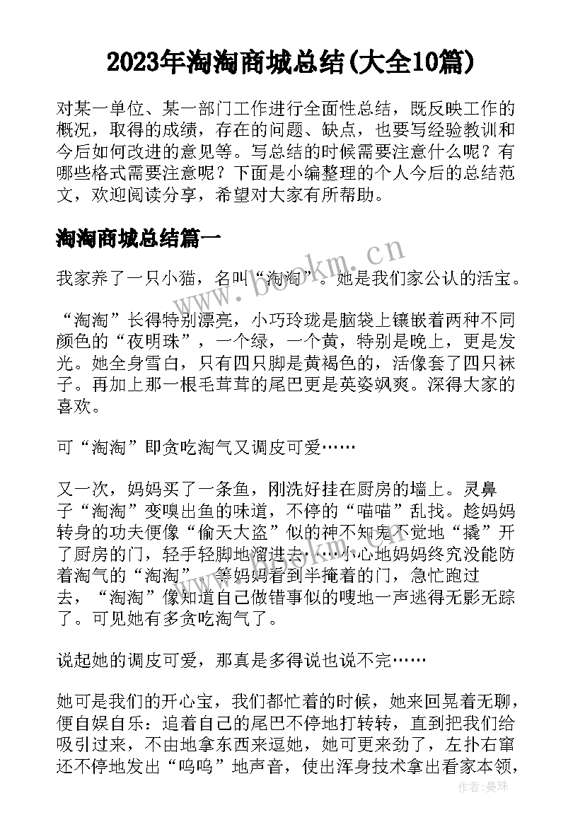 2023年淘淘商城总结(大全10篇)