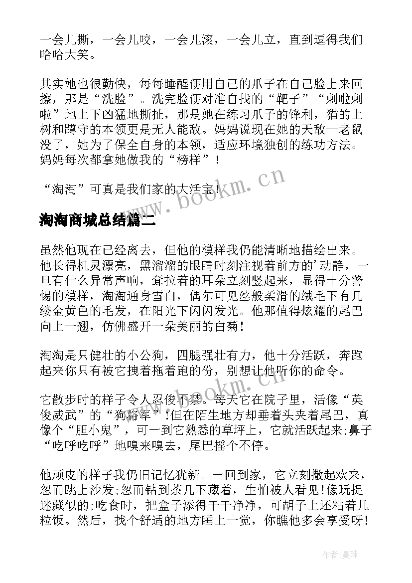 2023年淘淘商城总结(大全10篇)