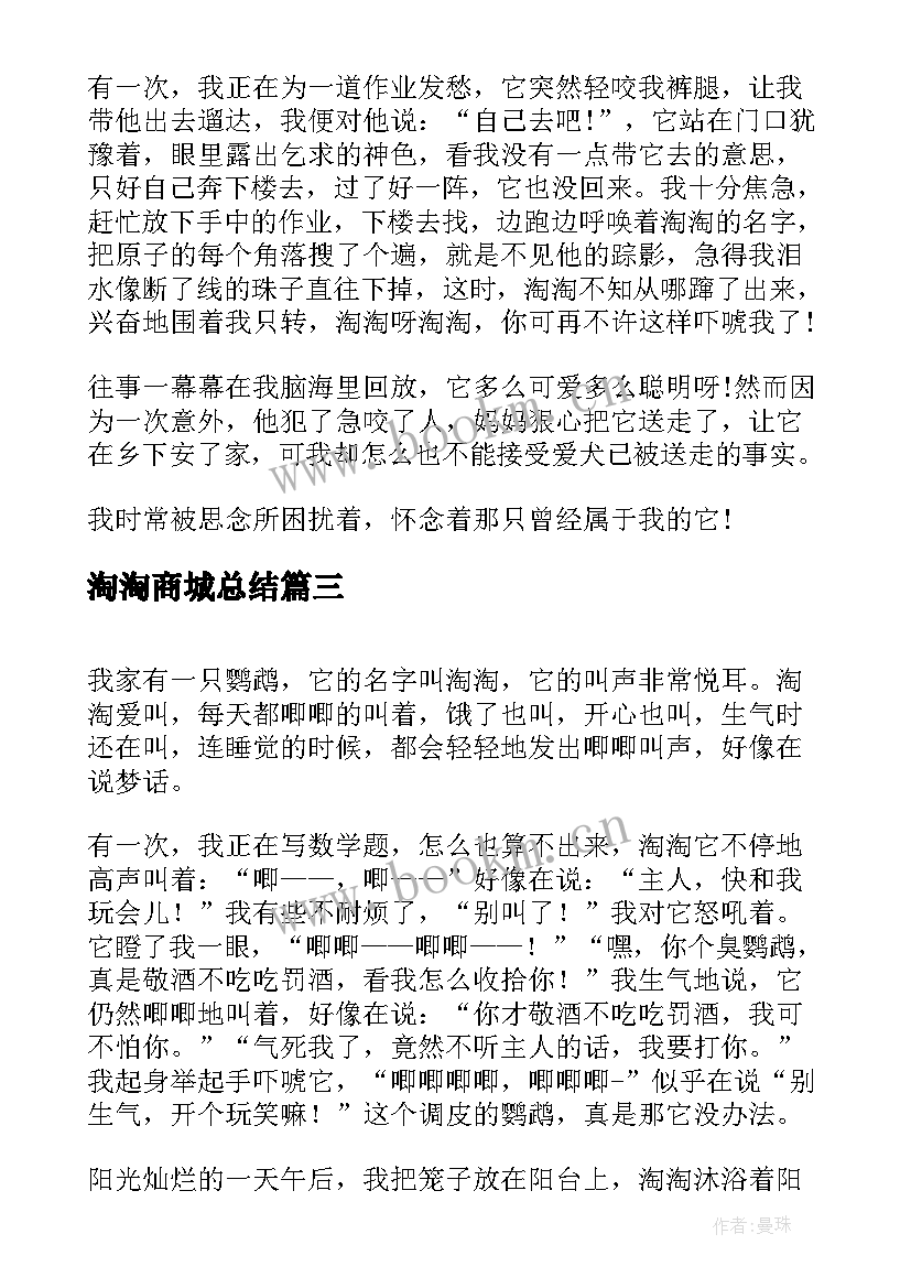 2023年淘淘商城总结(大全10篇)