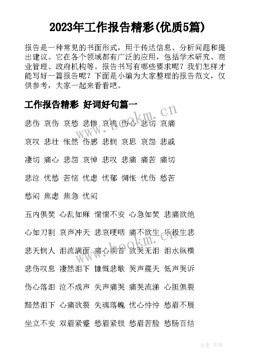 2023年工作报告精彩(优质5篇)