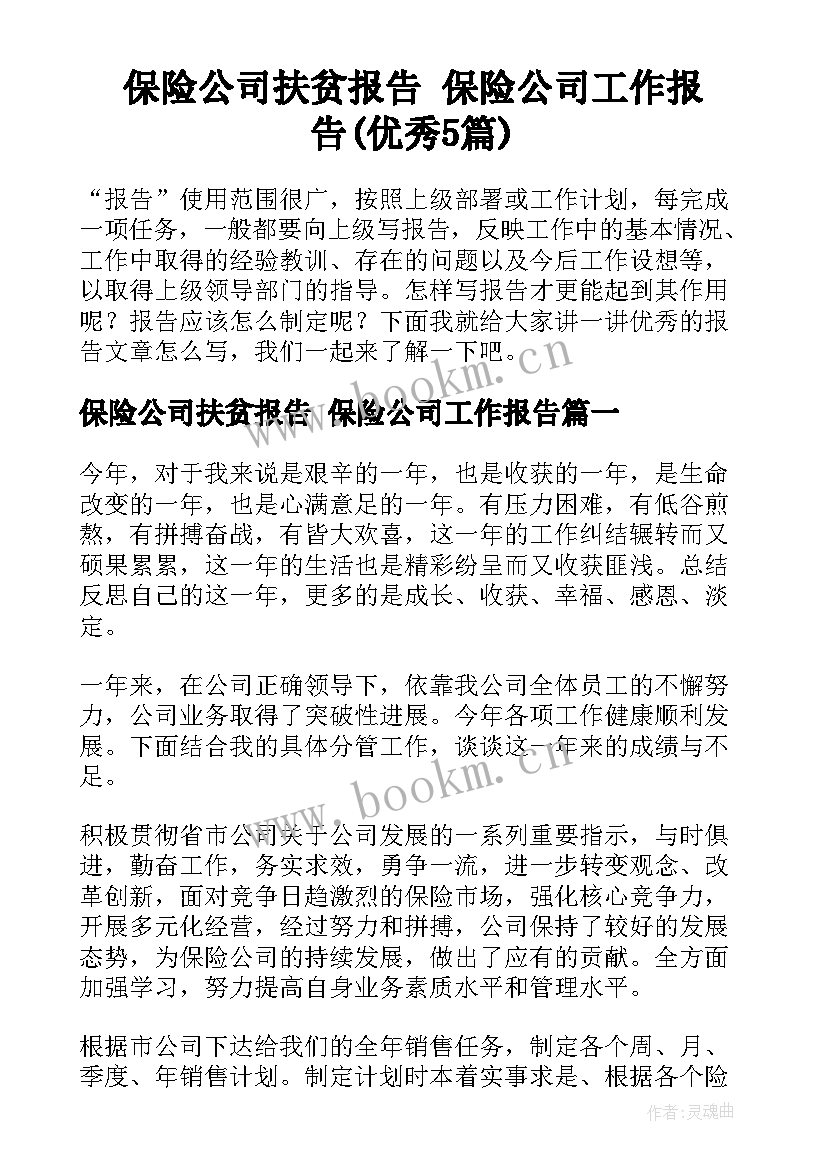 保险公司扶贫报告 保险公司工作报告(优秀5篇)