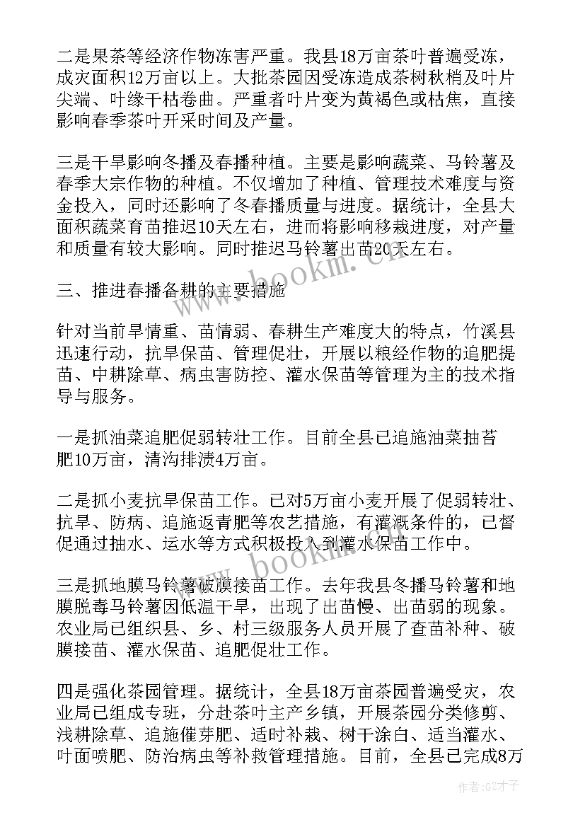 2023年竹溪县政府工作报告(汇总5篇)