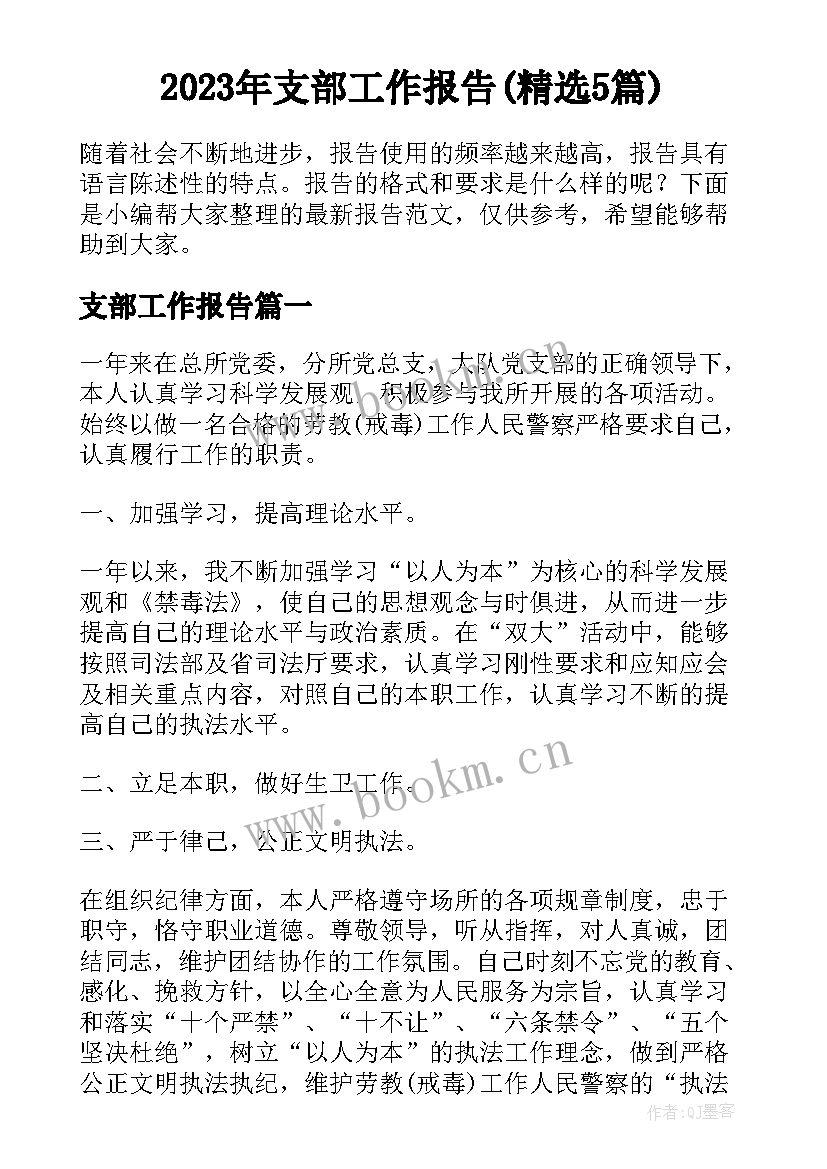 2023年支部工作报告(精选5篇)